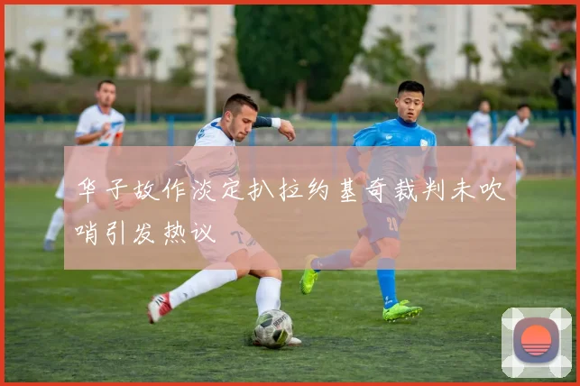 华子故作淡定扒拉约基奇裁判未吹哨引发热议