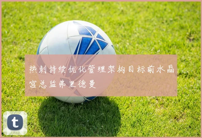 热刺持续优化管理架构目标前水晶宫总监弗里德曼