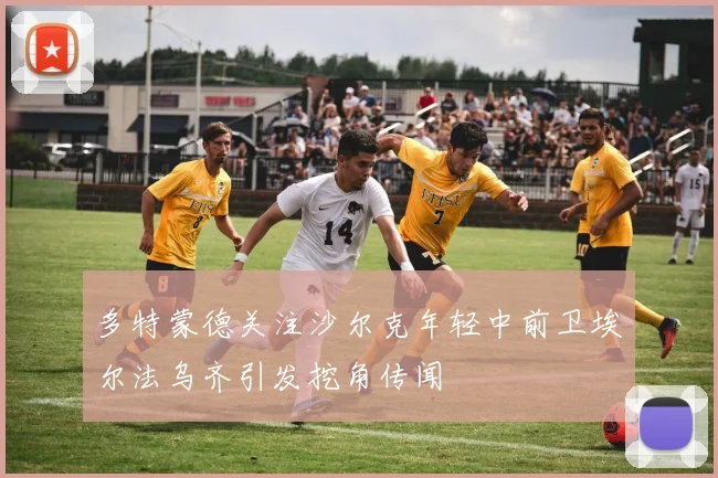 多特蒙德关注沙尔克年轻中前卫埃尔法乌齐引发挖角传闻