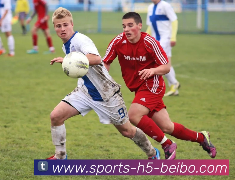 贝博体育品牌故事