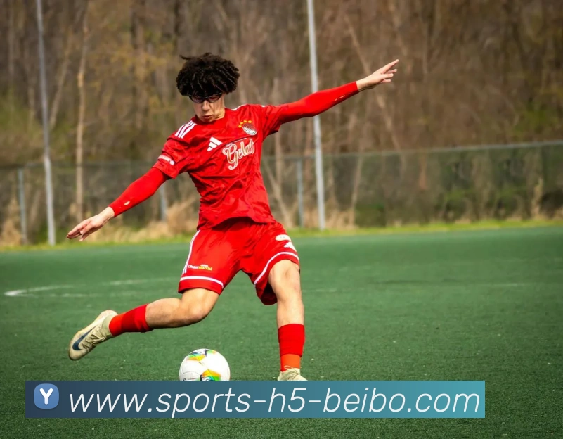 贝博体育服务体系